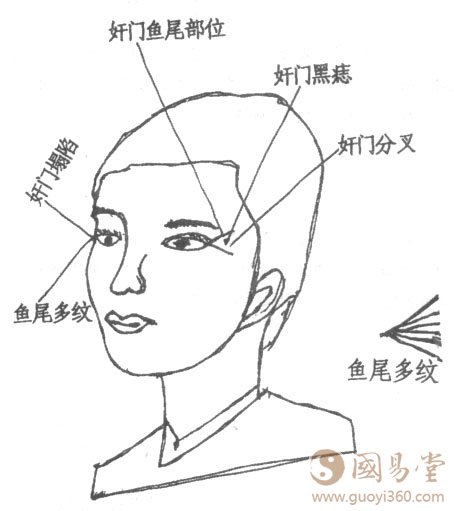 面相图解鱼尾、奸门相法绝学